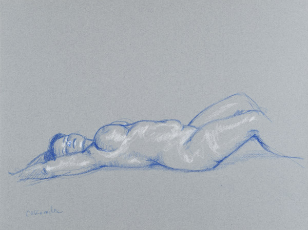 dessin de nu féminin