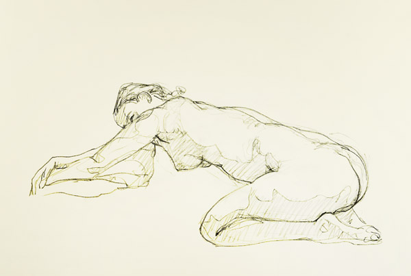 dessin de nu féminin