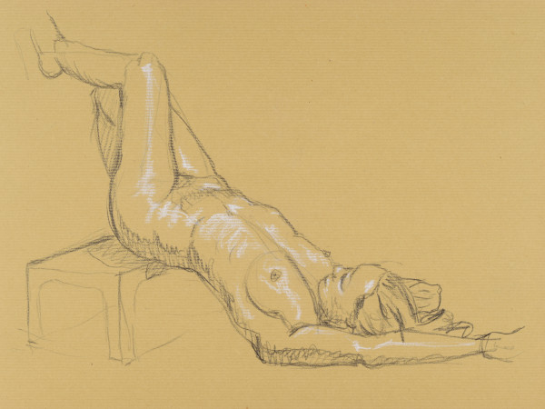 dessin de nu féminin