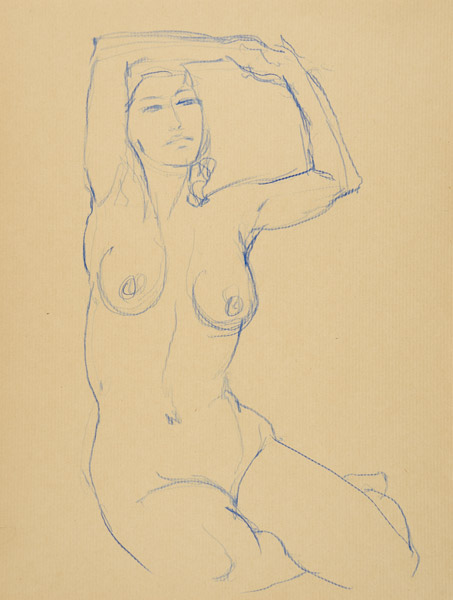 dessin de nu féminin