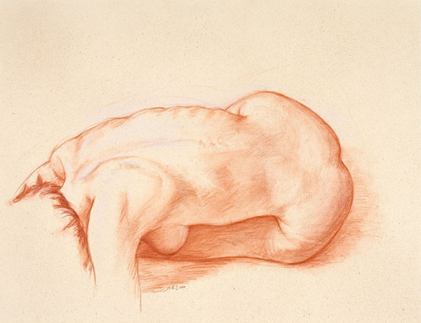 dessin de nu féminin