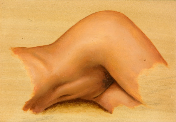 dessin de nu féminin