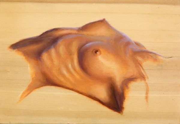 dessin de nu féminin