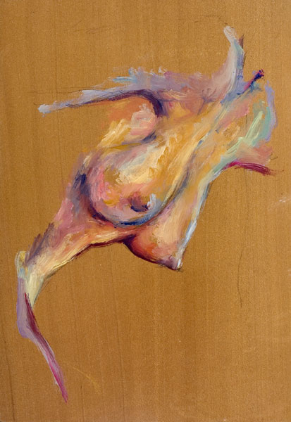 dessin de nu féminin