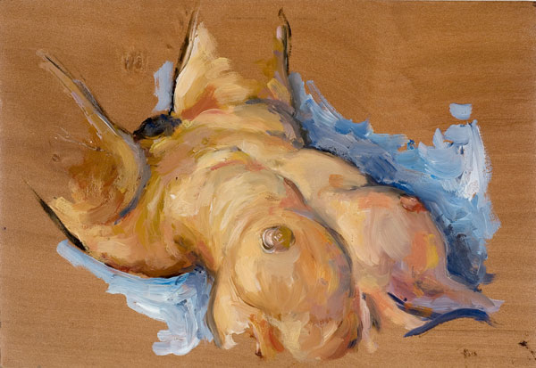 dessin de nu féminin