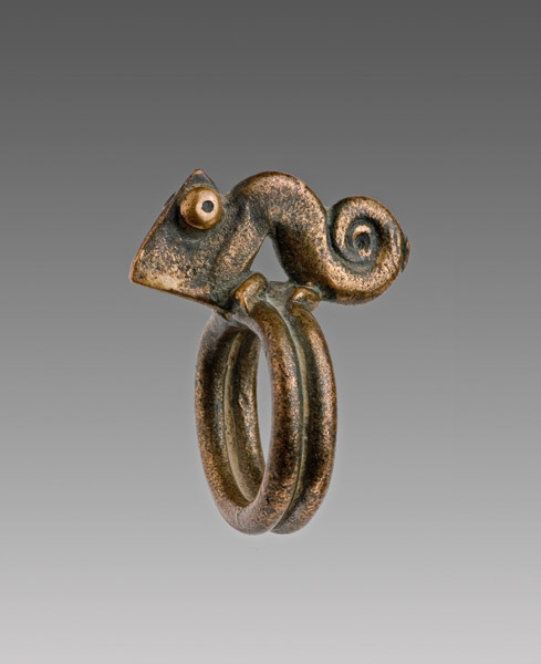 Bague caméléon - Cote d'Ivoir